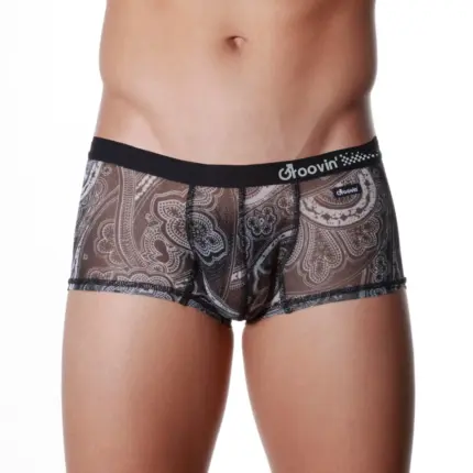 Men’s Cup Boxer Underwear – Mesh See-Through Front