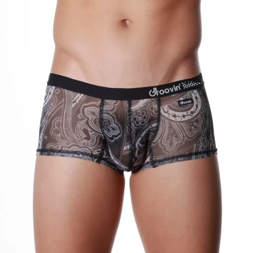 Men’s Cup Boxer Underwear – Mesh See-Through Front